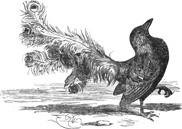 ملف:Page 63 illustration to Three hundred Aesop's fables (Townshend).png