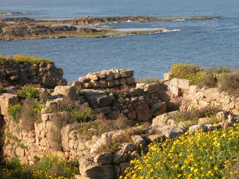 ملف:MediterraneanSeaFromIsrael.jpg