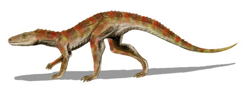 ملف:Hesperosuchus BW.jpg