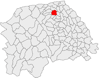 ملف:Radauti jud Suceava.png