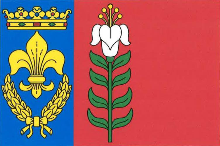 ملف:Řepín Flag.jpg