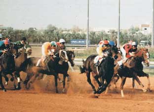 ملف:Racinghoursespic2.jpg
