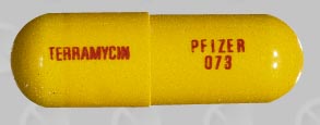 ملف:Terramycin capsule.jpg