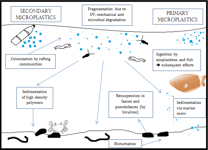 ملف:Microplastics impact on biological communities.png