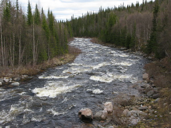 ملف:Река Рябина.jpg