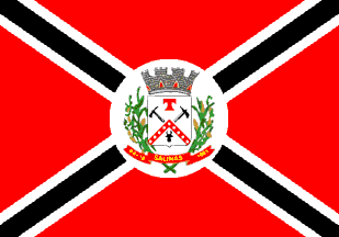 ملف:Bandeira Salinas.png