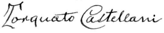ملف:Firma Torquato Castellani (trasparente).png
