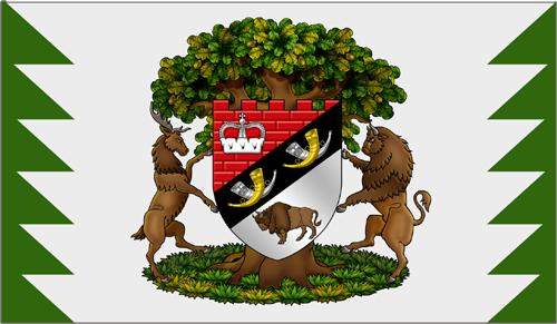 ملف:Сцяг Белавежскай пушчы.jpg