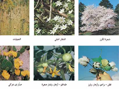 ملف:25 154830 08.jpg