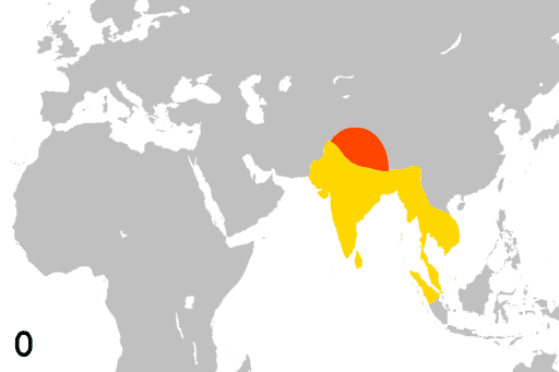 ملف:Religion spread animation slow.gif