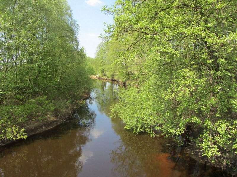 ملف:Цна (приток Припяти).jpg