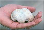 ملف:Borax ball.jpg