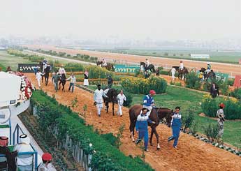 ملف:Racinghoursespic3.jpg