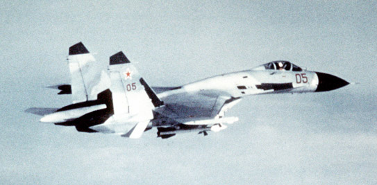ملف:Su-27 05 croped.jpg