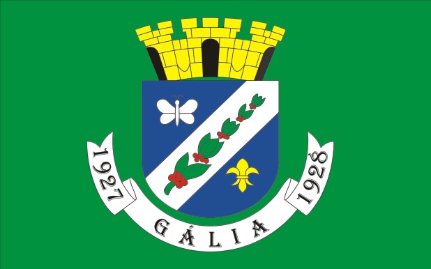 ملف:Bandeira de Gália.jpg