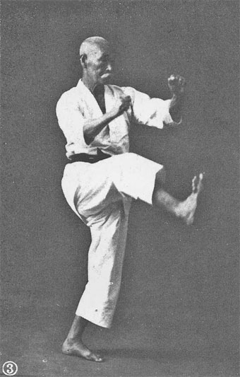 ملف:Hanashiro Chomo.jpg