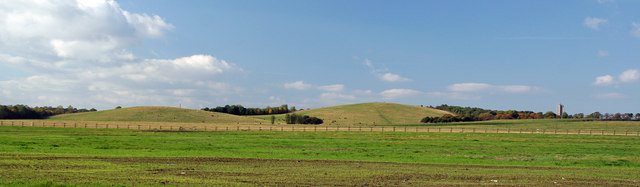 ملف:Newcastle Town Moor - geograph.org.uk - 596373.jpg