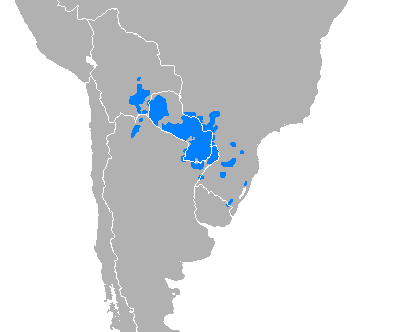 ملف:Idioma guaraní.png