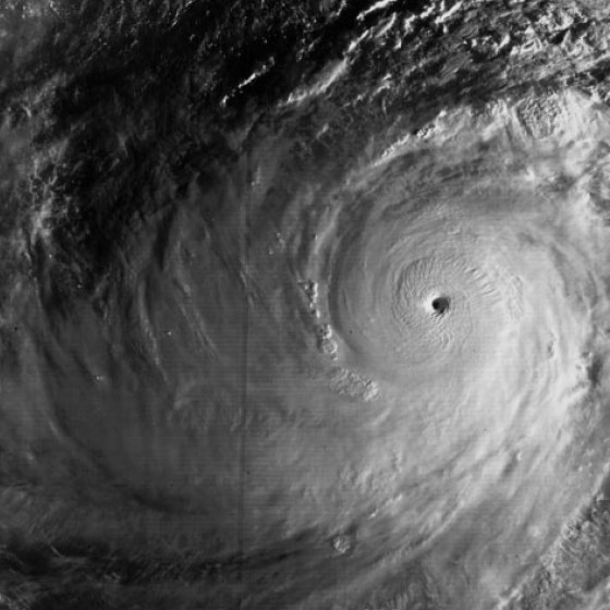 ملف:Typhoon Tip (1979) peak intensity.jpg