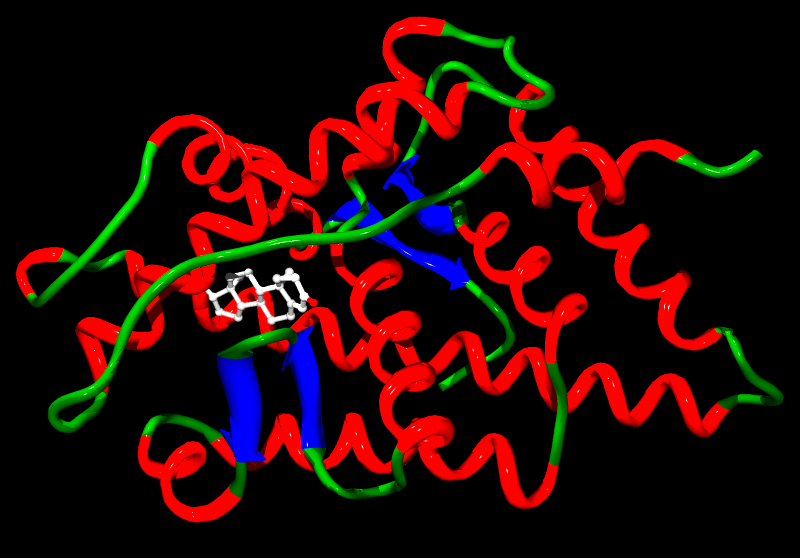 ملف:Steroid receptor.png