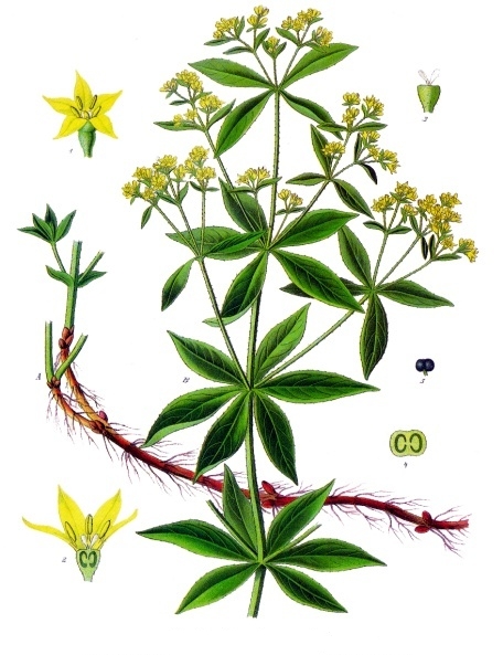 ملف:Koeh-123.jpg