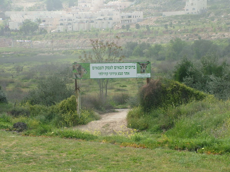 ملف:Emekatzvaiim1.jpg