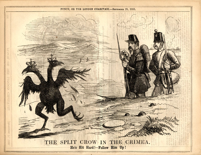 ملف:SplitCrow in Crimea.jpg