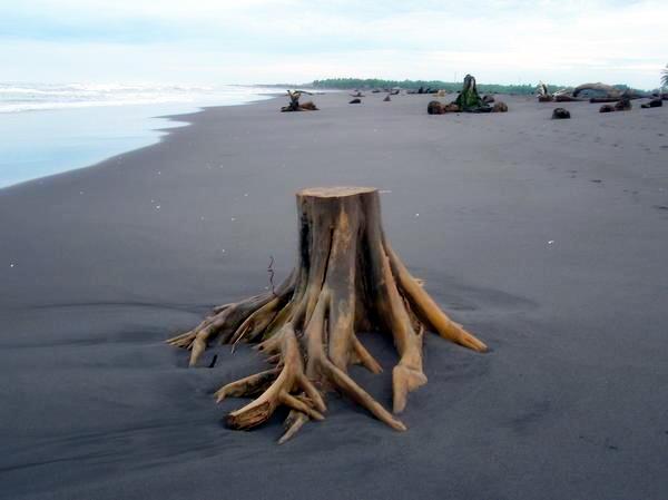 ملف:Deforestation in Guatemala.jpg