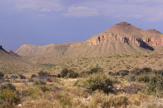 ملف:Chihuahuan Desert.jpg