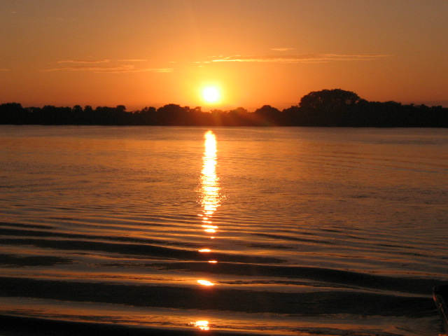 ملف:Pantanos de Centla.jpg