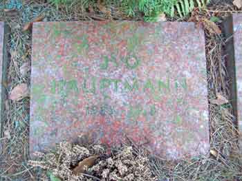 ملف:Hamburgfotograf grabivohauptmann.jpg