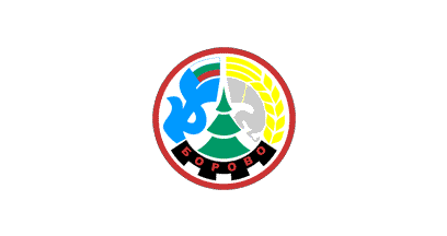 ملف:Flag of Borovo.gif