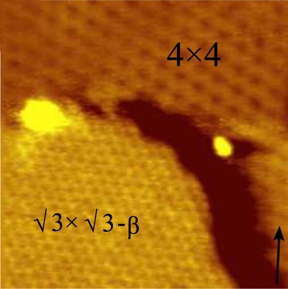ملف:Silicene-Ag STM5 crop.jpg