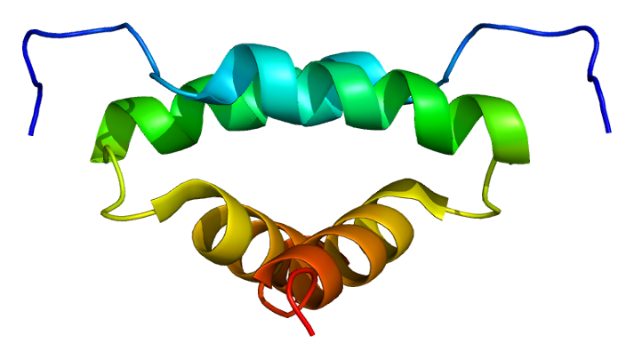 ملف:Protein PRKAR2A PDB 1l6e.png