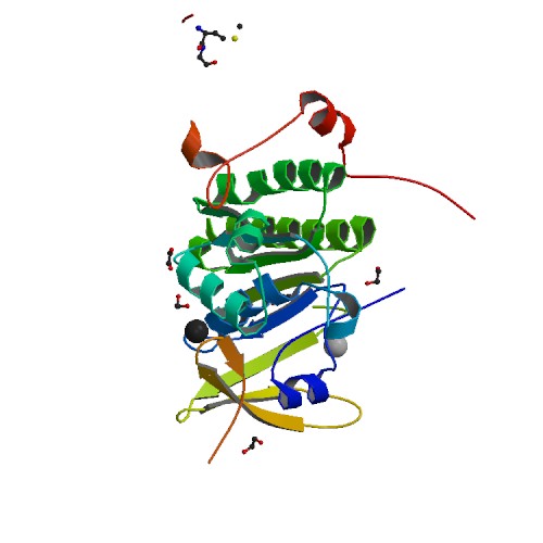 ملف:PBB Protein BRCA2 image.jpg