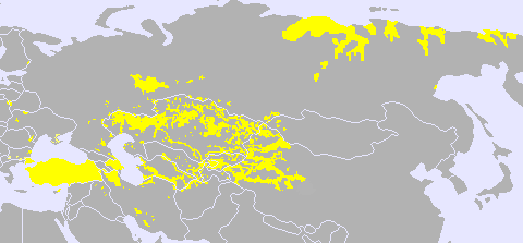 ملف:Turkic languages.png