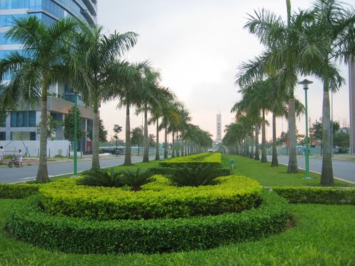 ملف:Duong pho tai quan Hai Chau.jpg