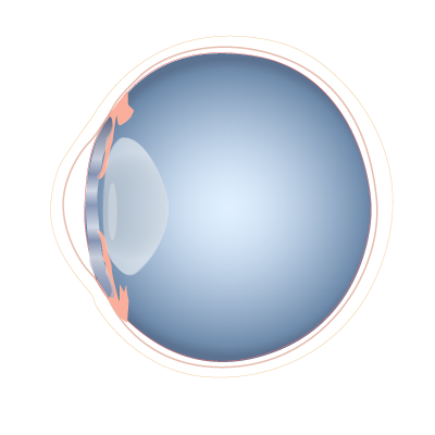 ملف:201405 eye.png