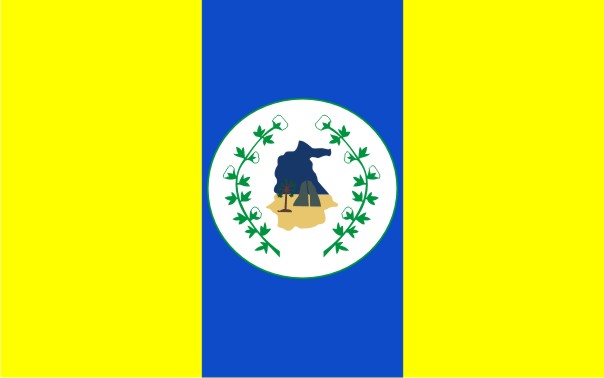 ملف:Bandeira do municpio de Itapipoca.jpg