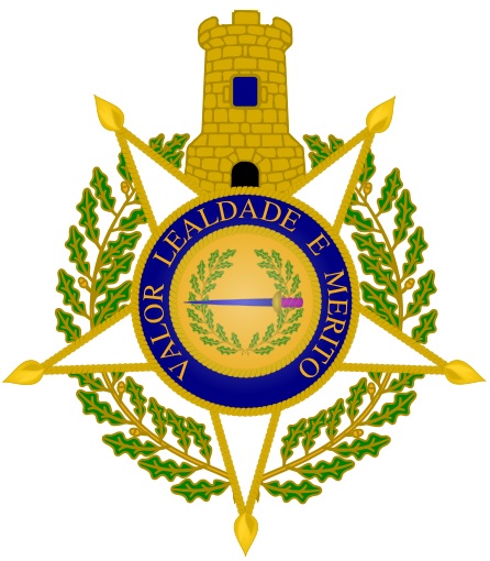 ملف:Distintivo TE.jpg
