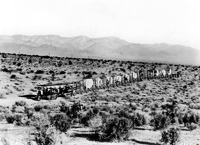 ملف:Cat45-mojave.jpg