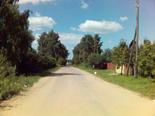 ملف:Деревня Солчино.jpg