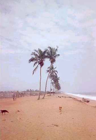 ملف:Abidjanvridi.jpg