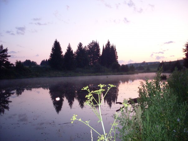 ملف:Колюшево, пруд.jpg