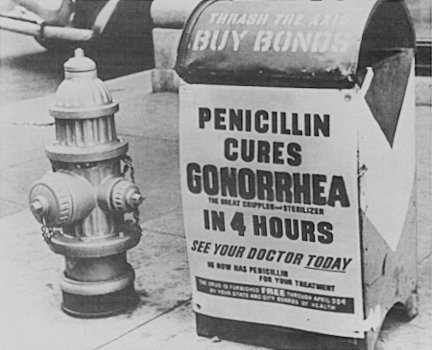ملف:PenicillinPSAedit.jpg