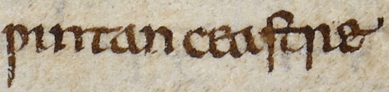 ملف:Anglo-Saxon Chronicle - Wintan ceastre (British Library Cotton MS Tiberius A VI, folio 12r).jpg