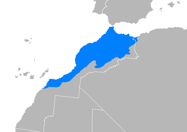 ملف:Arabe Marocain.png