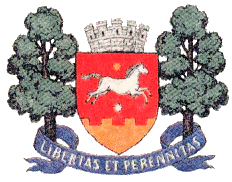 ملف:Orhei CoA.png