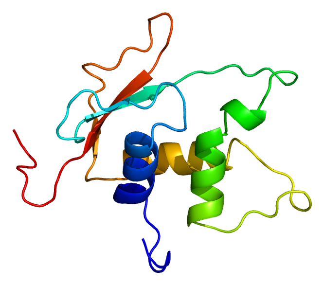 ملف:Protein IRF4 PDB 2dll.png