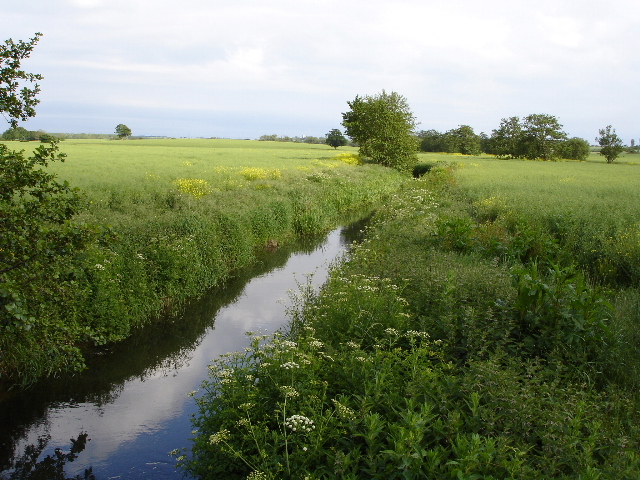 ملف:The East Stour river - geograph.org.uk - 445215.jpg